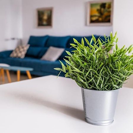 Amplio Apartamento Citycenter Cordoba Dış mekan fotoğraf