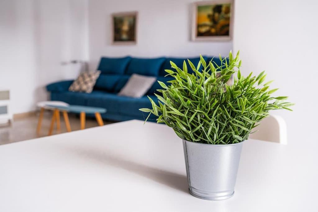 Amplio Apartamento Citycenter Cordoba Dış mekan fotoğraf